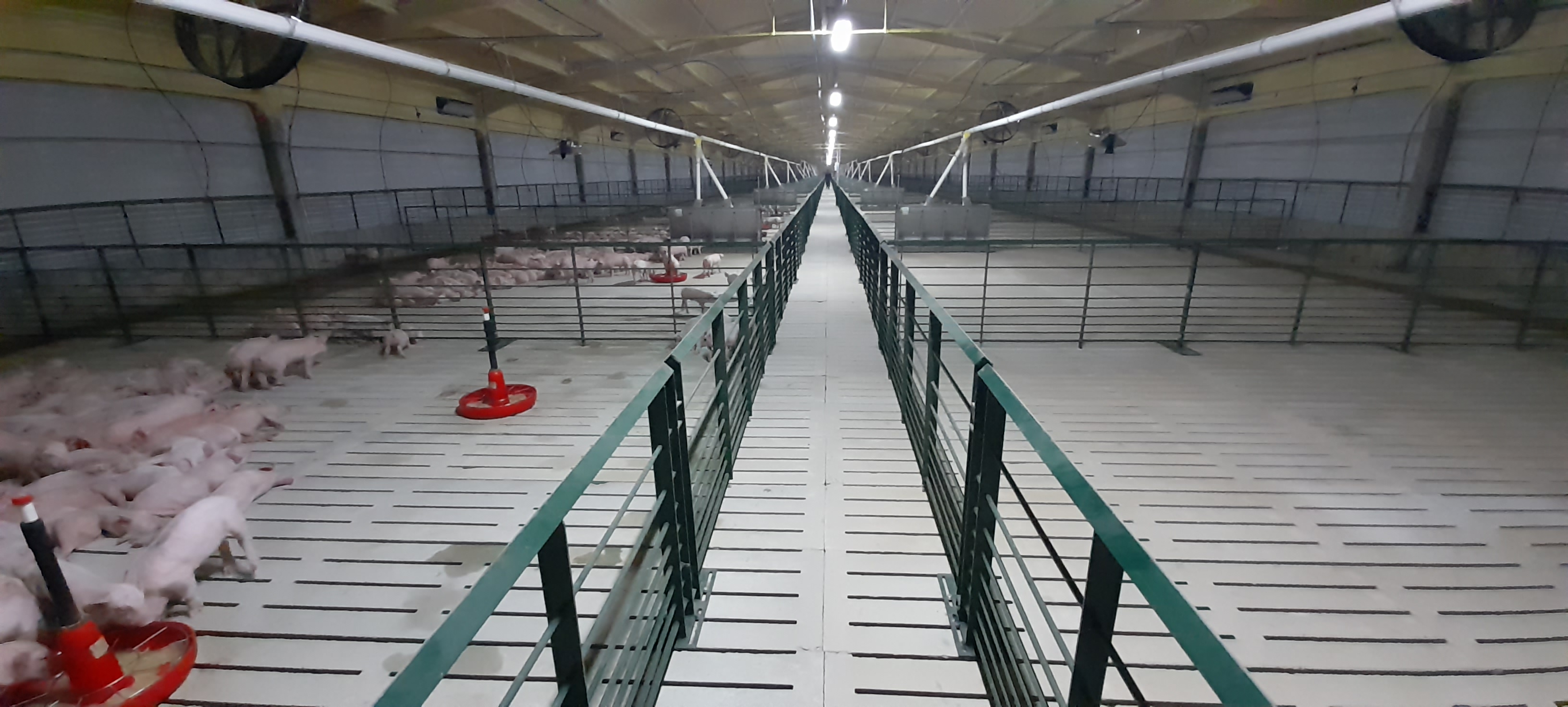 Agrobuild