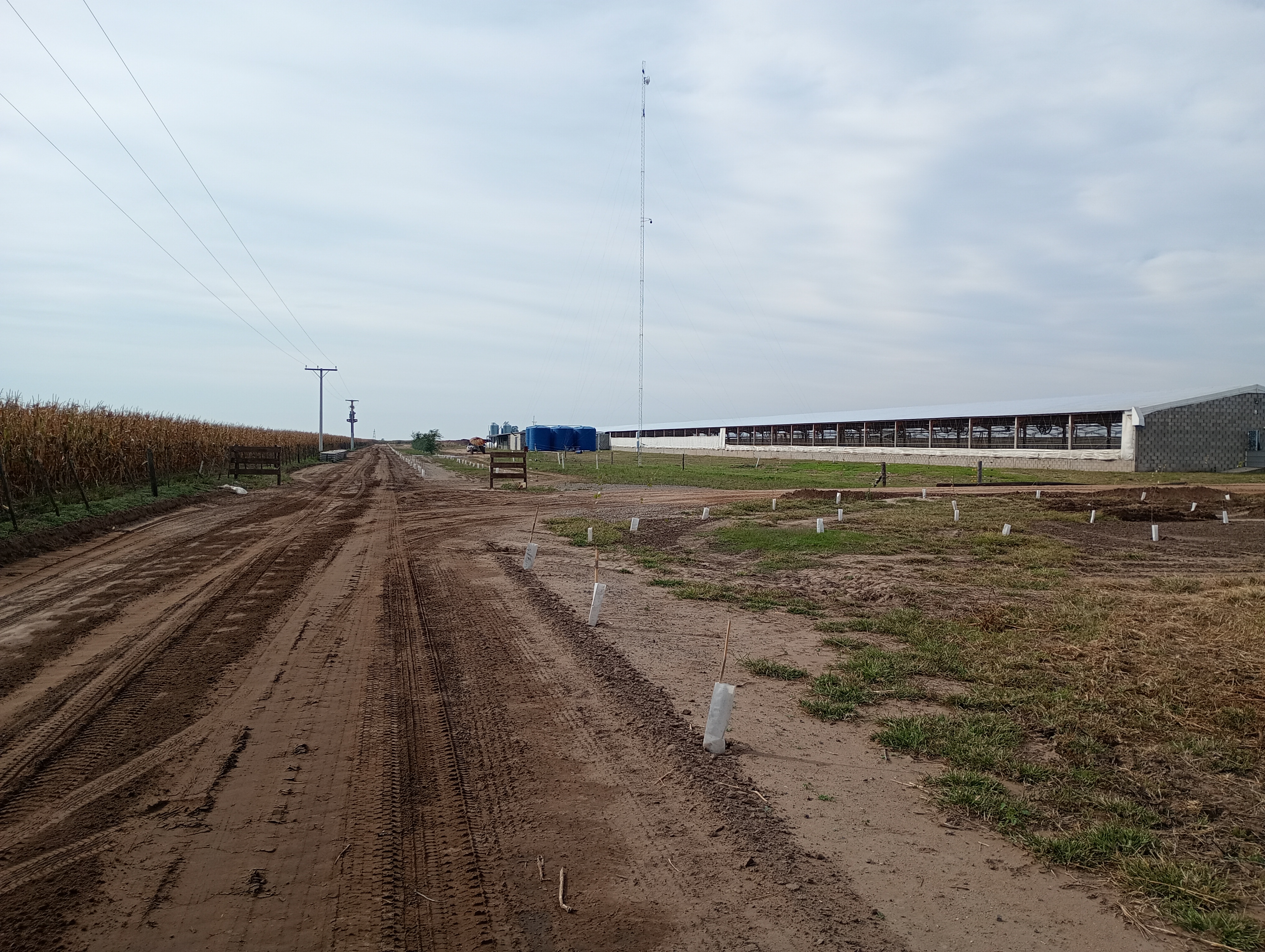 Agrobuild